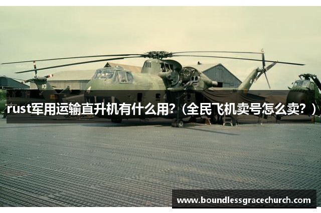 rust军用运输直升机有什么用？(全民飞机卖号怎么卖？)